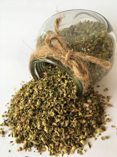 Oregano