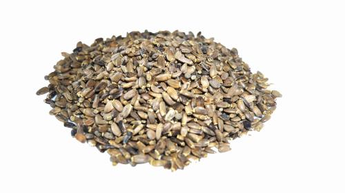 ostropest ziarno.JPG