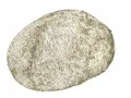 tzatzyki01.jpg