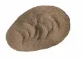pieprz czarny mielony 1.jpg
