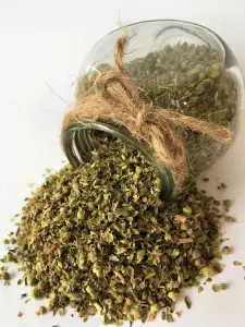 Oregano  DUŻE XXL