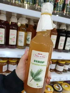 Syrop z pędów sosny 500ml. 