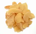 P1060889jj.jpg