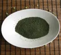 koperek nać.jpg
