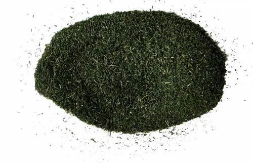koperek nać dd.jpg