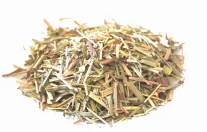Trawa Cytrynowa 