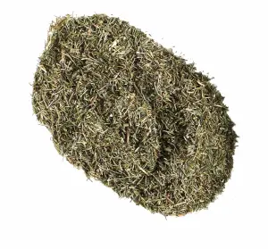 Skrzyp Polny 