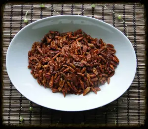 Papryczki Peperoncini
